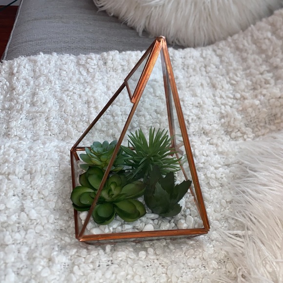 New succulent glass dome decor - Picture 5 of 6
